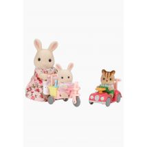 Le tricycle et mini voiture bébés - sylvanian families