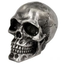 Emblème Highway Hawk Statuette Tête de mort