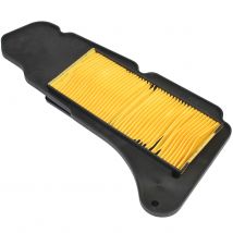 Filtre à air P2R Type adaptable (côté gauche)