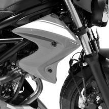 Ecope de radiateur Ermax SUZUKI SV 650 2016-