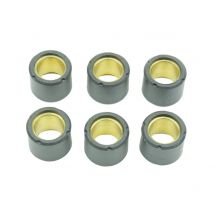 Galets de variateur Athena Jeu 19x15,5mm 5,2gr - 6 pièces
