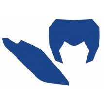 Fonds de plaque Blackbird bleu