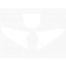 Fonds de plaque Blackbird blanc