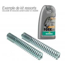 Ressorts de fourche Bitubo avec huile de fourche MOTOREX