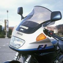 Bulle Ermax Haute protection
