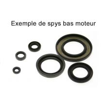 Joint spy bas moteur Centauro