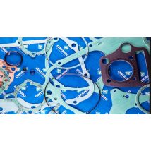 Joint de carter d'allumage Centauro