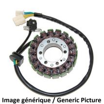 Stator d'allumage Electrosport