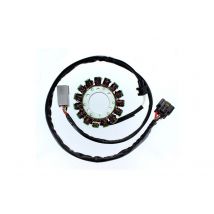 Stator d'allumage Electrosport
