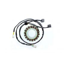 Stator d'allumage Electrosport