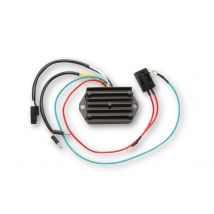 Boitier électronique Electrosport Régulateur