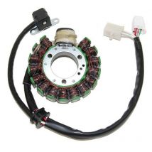 Stator d'allumage Electrosport