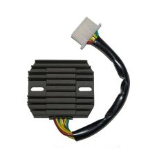 Boitier électronique Electrosport Régulateur