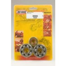 Roulement de vilebrequin Hot Rods avec joints spi