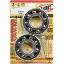 Joints spy vilebrequin Hot Rods Kit roulements