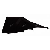 Plaques latérales Racetech gauche noir