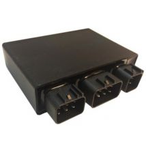 Boitier électronique Tecnium CDI