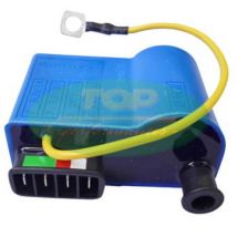 Boitier électronique Top Performances CDI