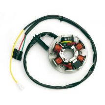 Stator d'allumage Top Performances câble long