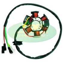 Stator d'allumage Top Performances