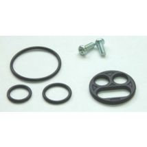 Kit reconditionnement robinet d'essence Tour Max
