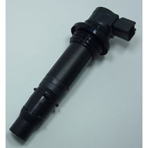 Bobine allumage Tour Max