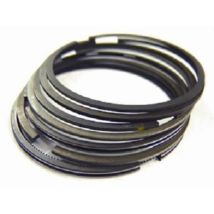 Segments Wossner Ø72.50mm