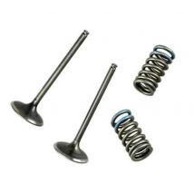 Soupape d'admission Wossner acier