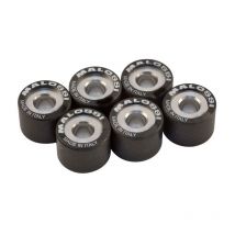 Galets de variateur Malossi 19 g