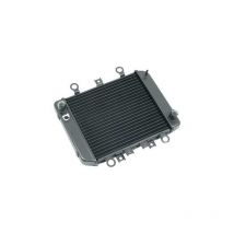 Radiateur Brazoline A EAU ADAPTABLE