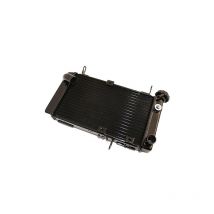 Radiateur Brazoline A EAU ADAPTABLE