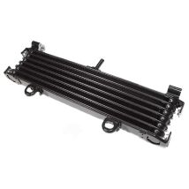 Radiateur Brazoline A HUILE ADAPTABLE