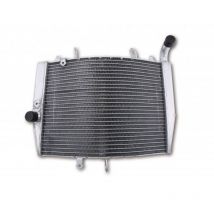 Radiateur Brazoline A EAU ADAPTABLE