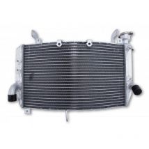 Radiateur Brazoline A EAU ADAPTABLE