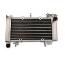 Radiateur Brazoline A EAU ADAPTABLE