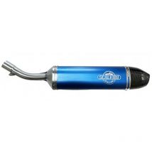 Silencieux Scalvini CARBON LOOK