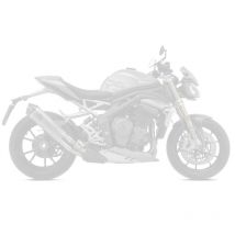 Silencieux Arrow Race-tech embout carbone