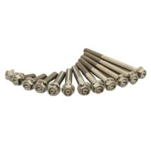 Vis moteur Scar 1 x Titanium HEX M6 x 75