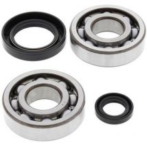 REBAJAS Rodamiento de cigüeñal All Balls Kit y retenes 24-1004