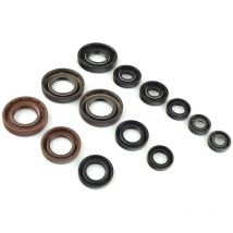 Junta SPI parte inferior del motor Centauro Kit retenes