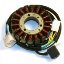 REBAJAS Estator de encendido Electrosport STATOR KLX400R 03-04