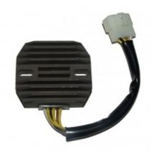 Centralita electrónica Electrosport Regulador ESR 263
