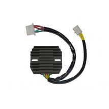 Centralita electrónica Electrosport Regulador ESR 650