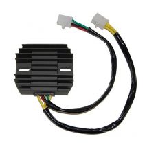 Centralita electrónica Electrosport Regulador
