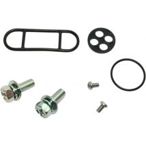 Kit de reacondicionamiento del grifo de combustibl K&S Technologies 07050112