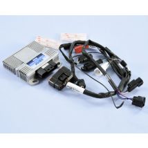 Centralita electrónica Polini ECU