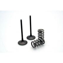 REBAJAS Kit de conversión de válvulas Prox acero y muelle admisión