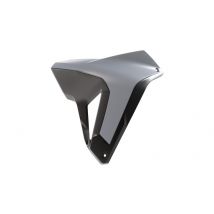 REBAJAS Protección lateral de radiador Racetech Paneles