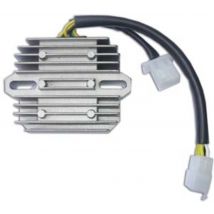 regulador de tension Tecnium Regulador by DZE