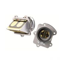 Caja de láminas Boyesen RC2 Radvalve